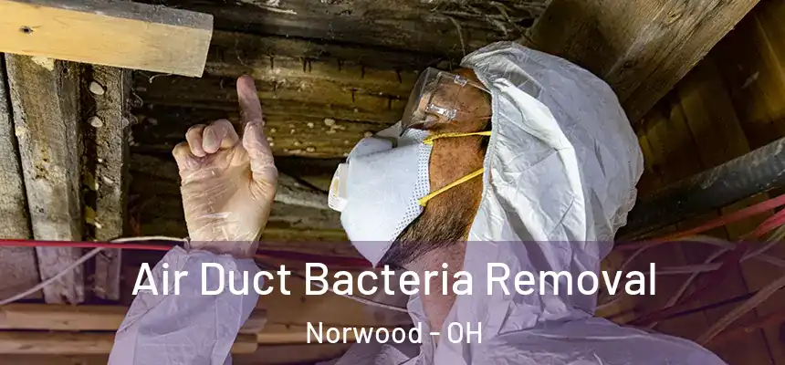  Air Duct Bacteria Removal Norwood - OH