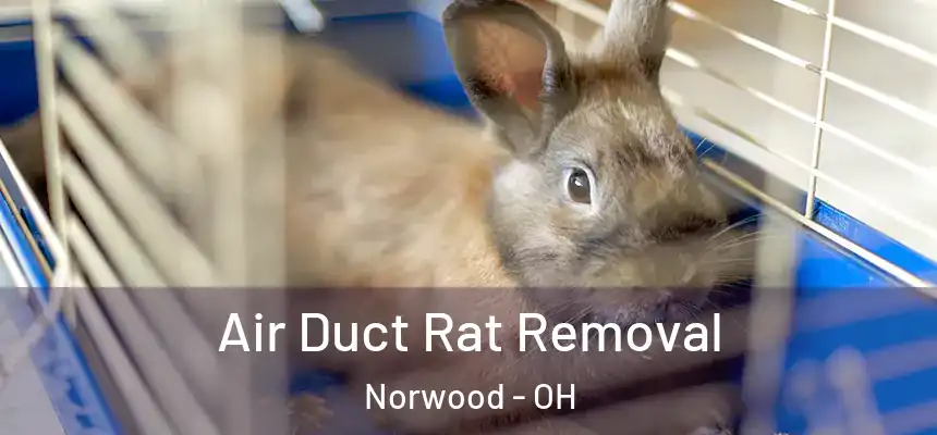  Air Duct Rat Removal Norwood - OH