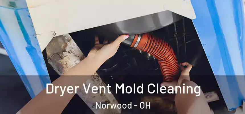  Dryer Vent Mold Cleaning Norwood - OH