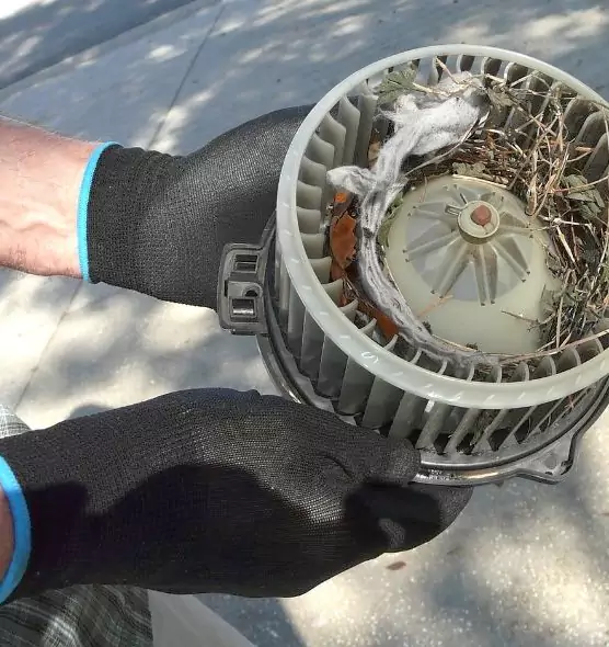 About Air Duct Mice Removal in Norwood, OH