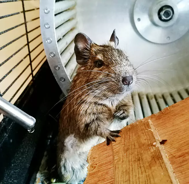 Why Homeowners & Businesses Trust Us Norwood, OH